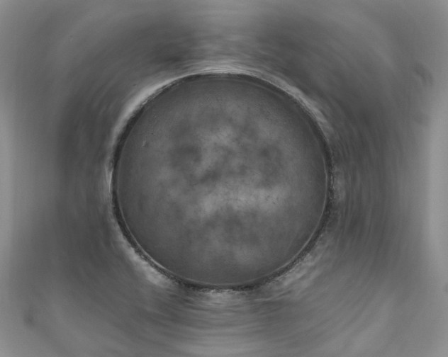 X0000111011416200906261510