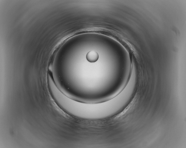 X0000111011417200906261510