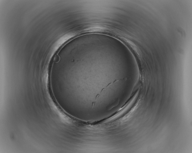 X0000111011418200906261510