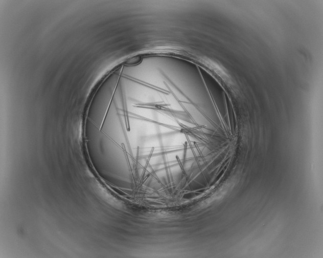 X0000111011420200906261510