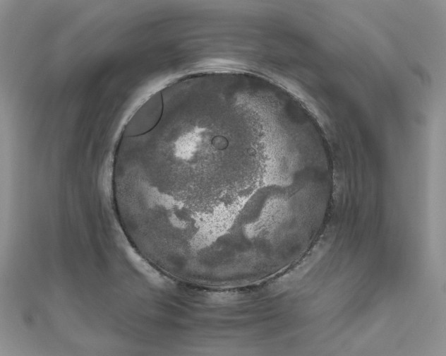 X0000111011421200906261510