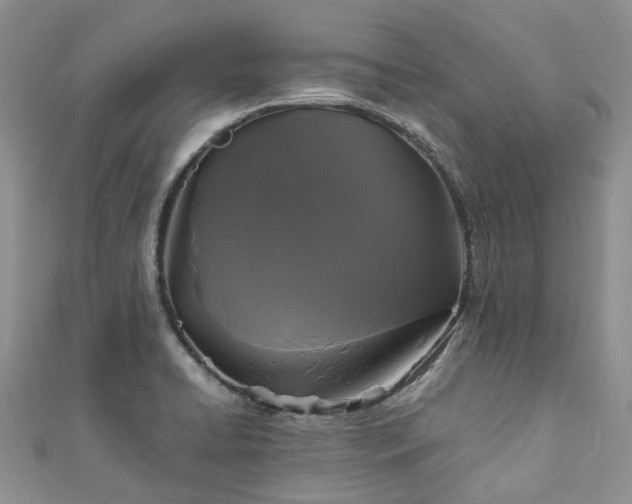 X0000111011422200906261510