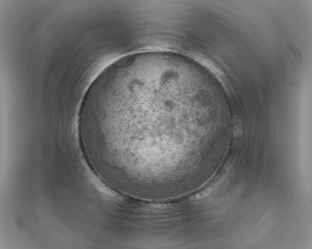 X0000111011423200906261510