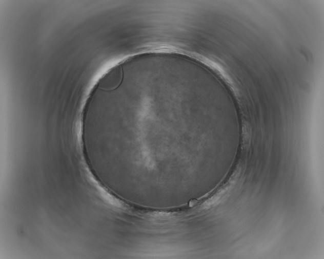 X0000111011424200906261510