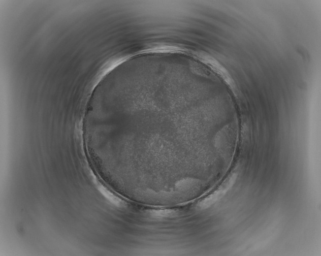 X0000111011425200906261510