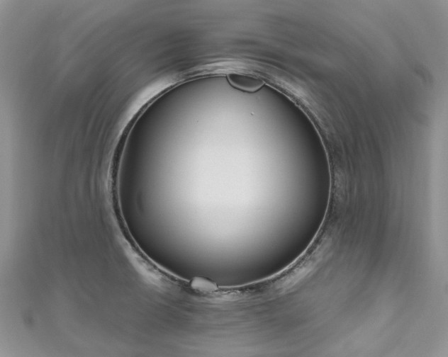 X0000111011426200906261510