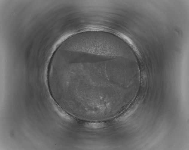 X0000111011427200906261510