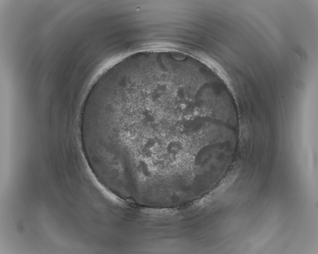 X0000111011429200906261510