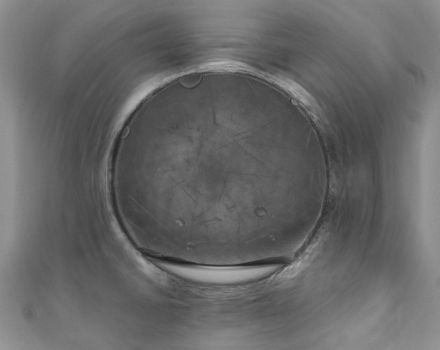 X0000111011430200906261510