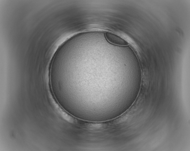 X0000111011431200906261510