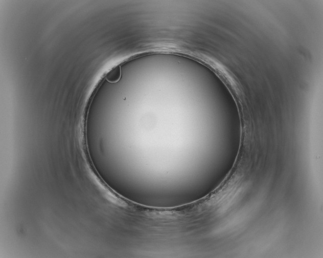 X0000111011432200906261510