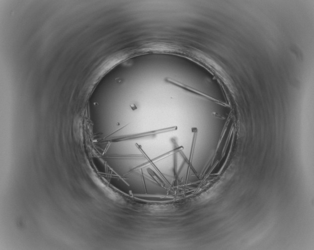 X0000111011433200906261510