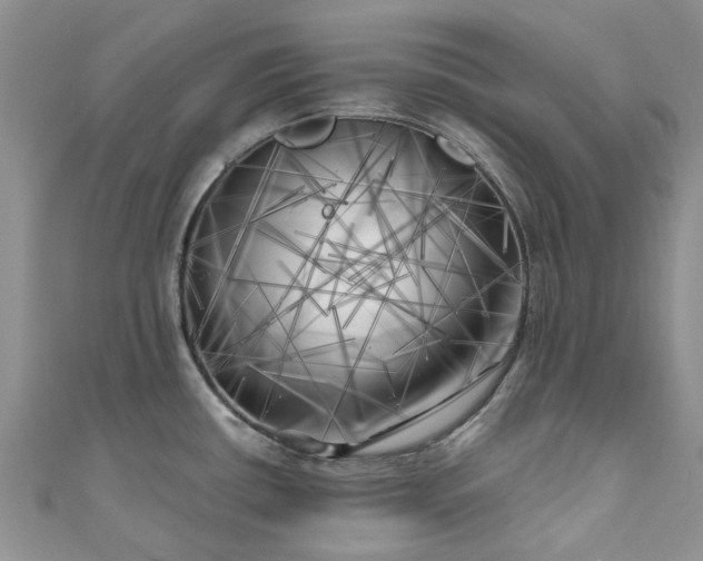 X0000111011434200906261510