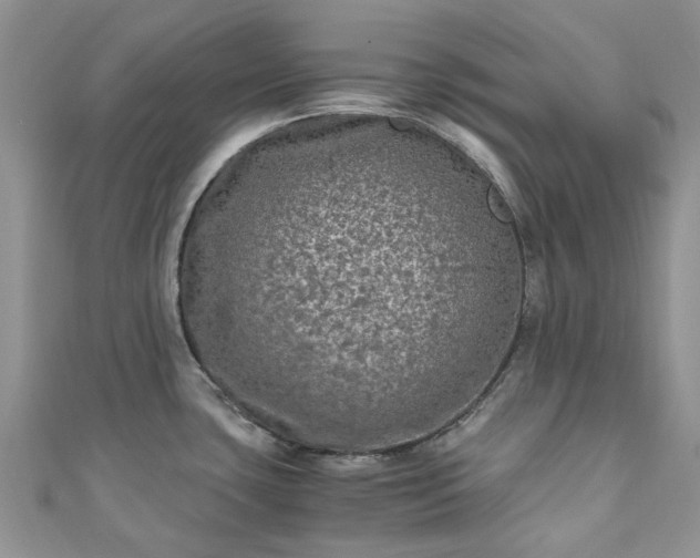 X0000111011435200906261510