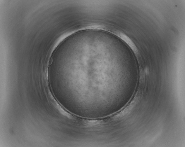 X0000111011436200906261510