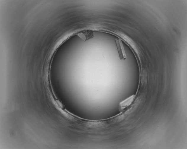 X0000111011437200906261510