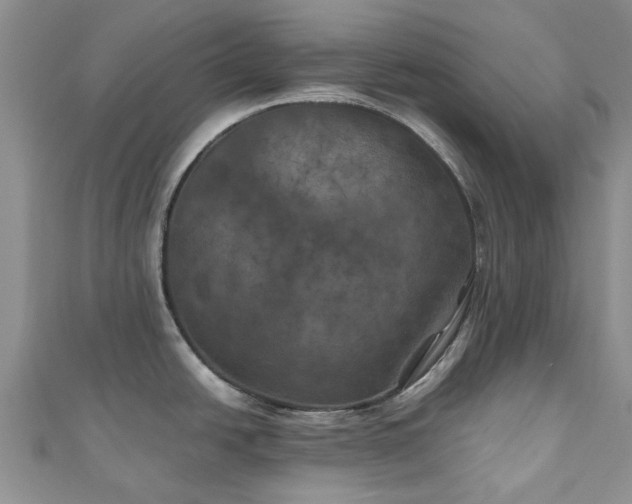 X0000111011438200906261510