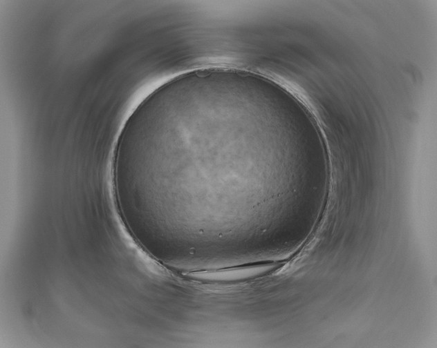 X0000111011440200906261510
