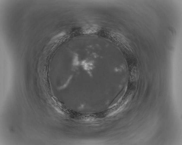 X0000111011441200906261510