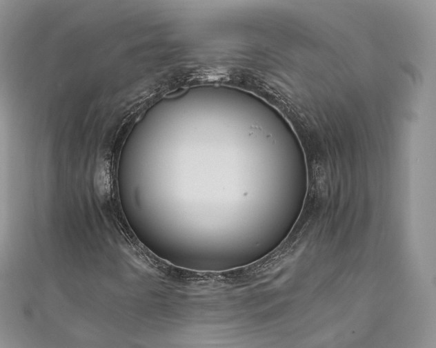 X0000111011442200906261510