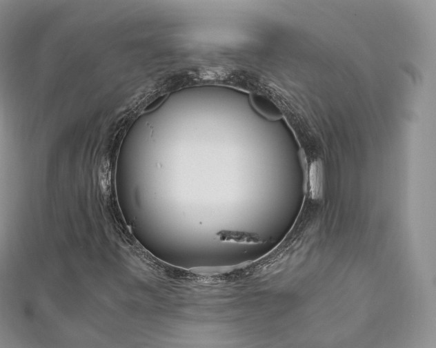 X0000111011443200906261510