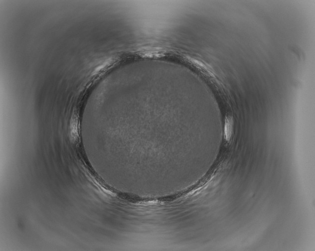 X0000111011444200906261510