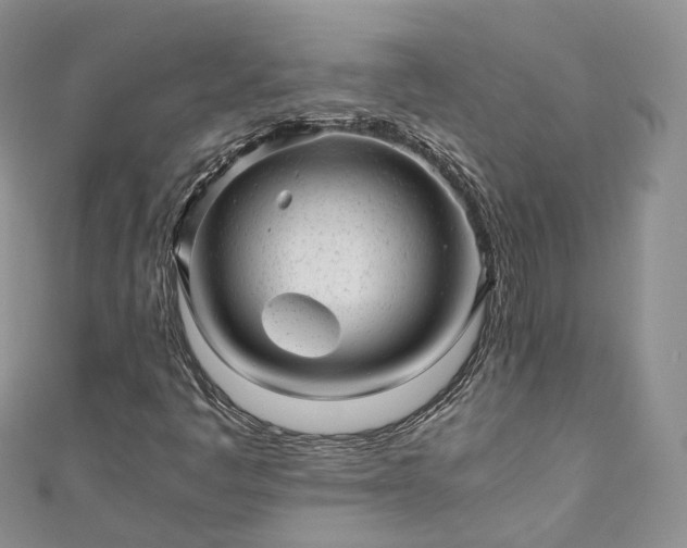 X0000111011445200906261510