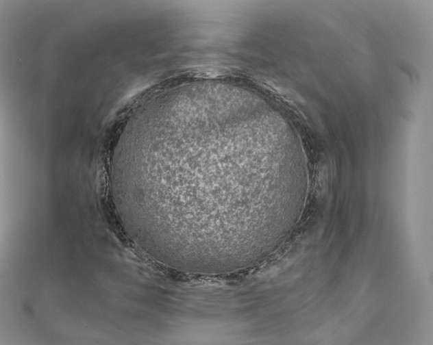 X0000111011446200906261510