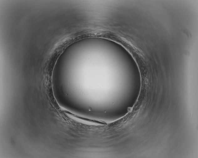 X0000111011447200906261510