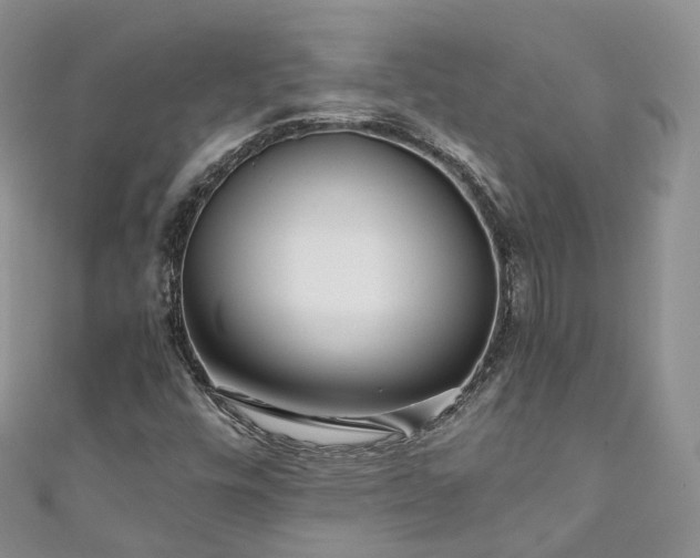 X0000111011448200906261510