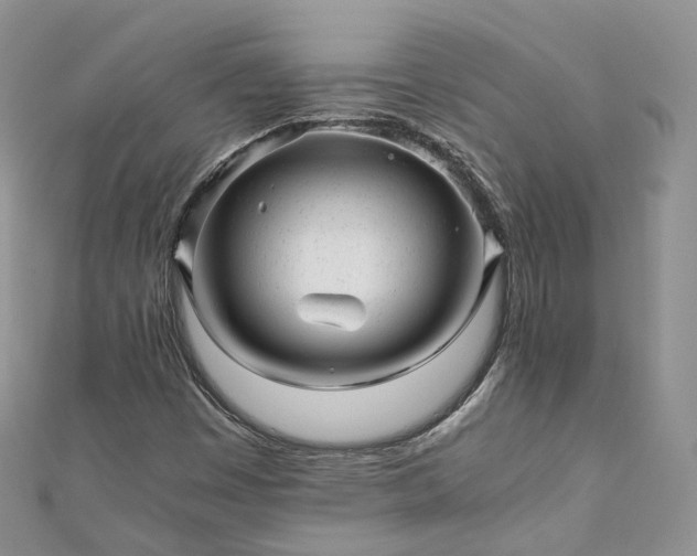 X0000111011449200906261510