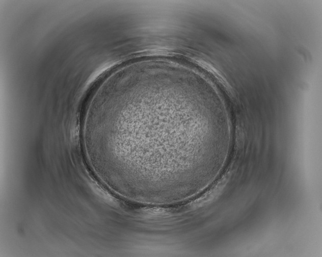 X0000111011450200906261510