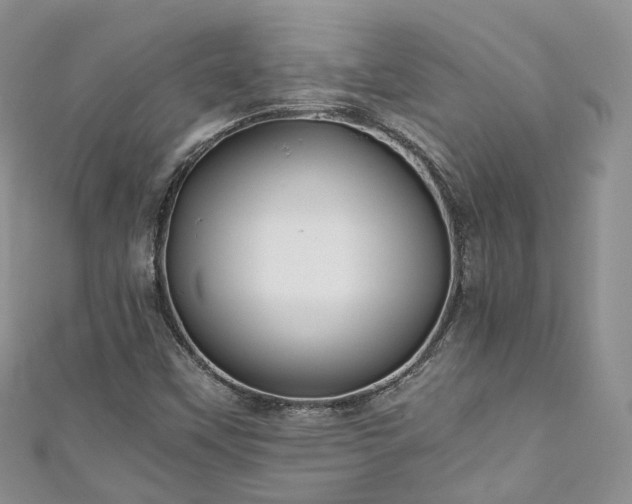 X0000111011451200906261510