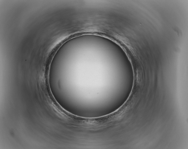 X0000111011452200906261510