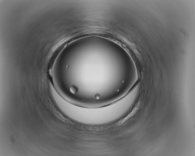 X0000111011453200906261510