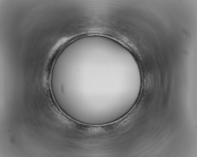 X0000111011454200906261510