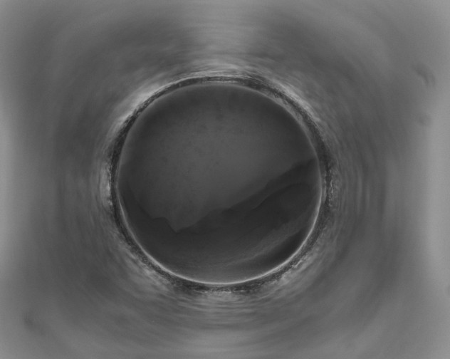X0000111011455200906261510