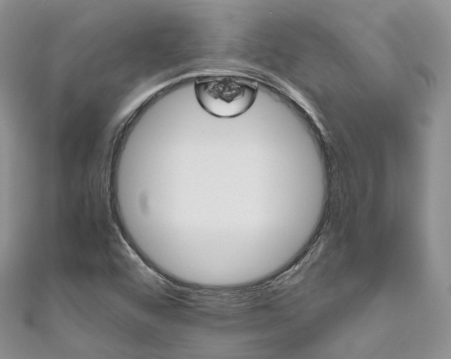 X0000111011456200906261510