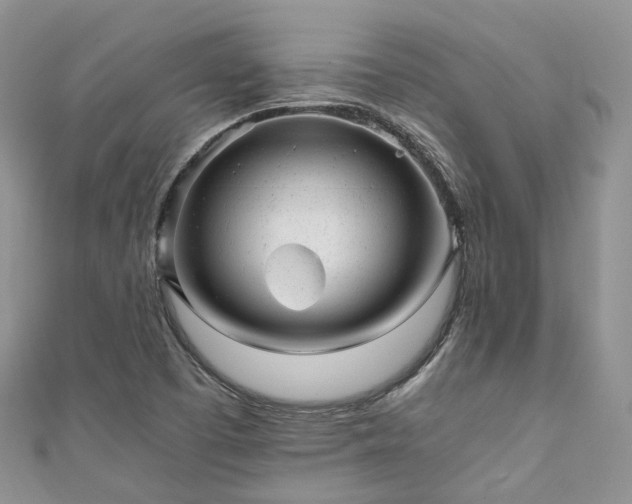X0000111011457200906261510
