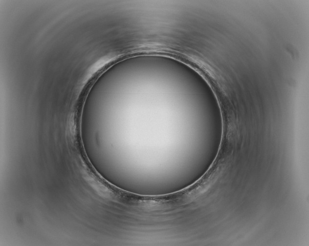 X0000111011458200906261510