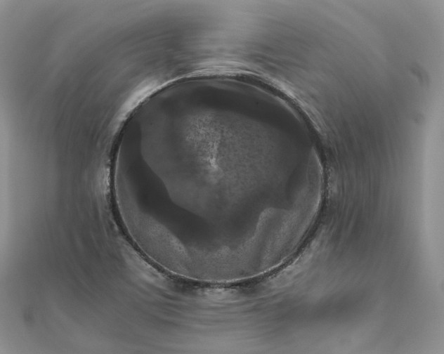 X0000111011459200906261510