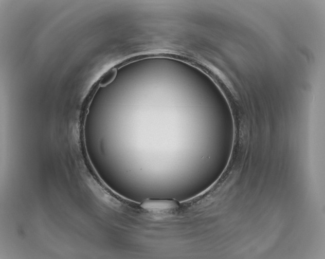X0000111011460200906261510