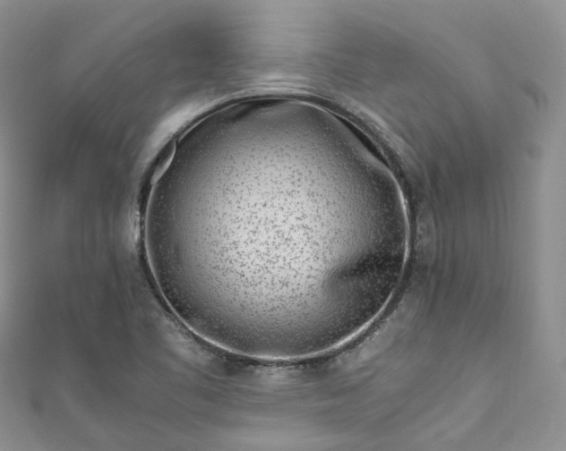 X0000111011461200906261510