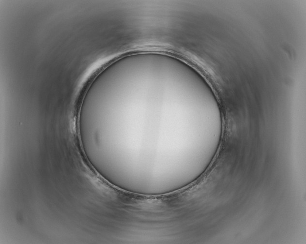 X0000111011462200906261510