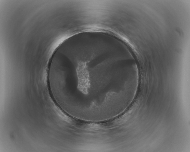 X0000111011463200906261509