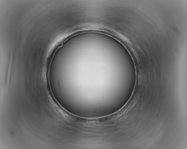 X0000111011464200906261509