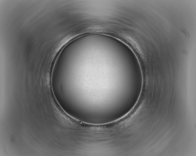 X0000111011465200906261509