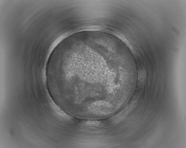 X0000111011466200906261509
