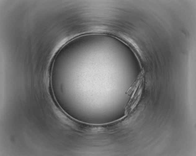 X0000111011467200906261509