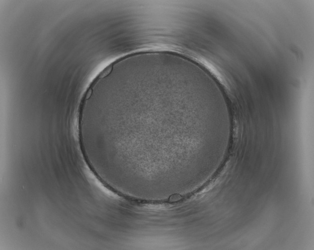 X0000111011468200906261509